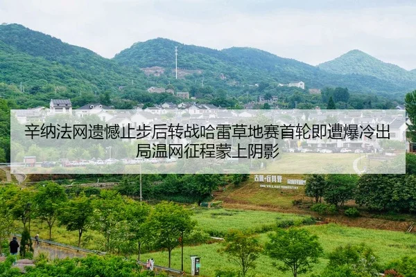 辛纳法网遗憾止步后转战哈雷草地赛首轮即遭爆冷出局温网征程蒙上阴影