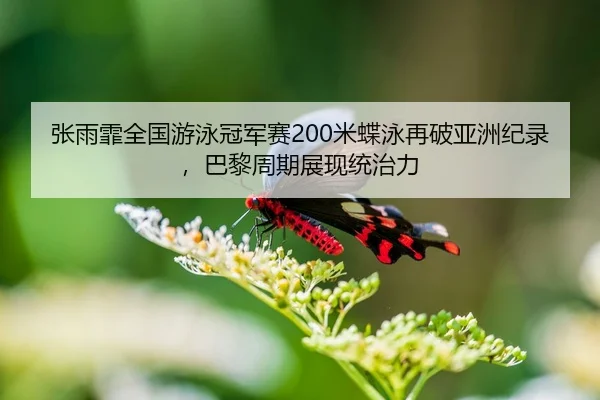 张雨霏全国游泳冠军赛200米蝶泳再破亚洲纪录，巴黎周期展现统治力
